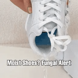 Shoe dryer in action